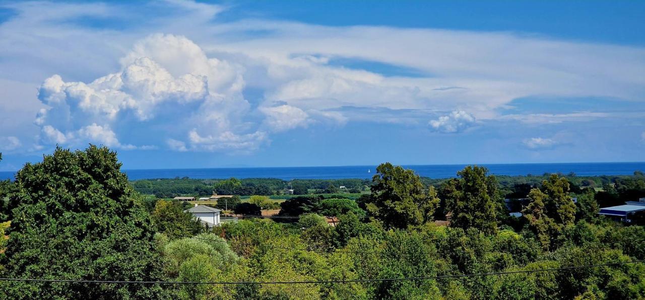 Villa Bistinetti Rez De Villa Tout Confort Avec Piscine Penta di Casinca Luaran gambar